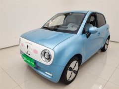 ORA Black Cat 2019 301km Standard Edition - ფოტო 2