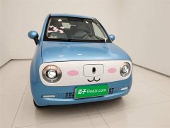 ORA Black Cat 2019 301km Standard Edition - ფოტო 3