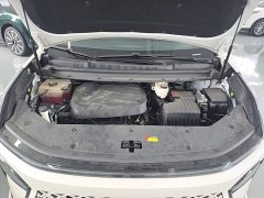 Maxus G70 2024 2.0T Auto Luxury Edition 7-seater - ფოტო 20