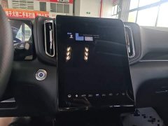 FAW Red Flag HS3 PHEV 117km Dynamic Edition - ფოტო 13