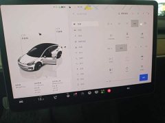 Tesla Model 3 2022 Rear-Wheel Drive - ფოტო 9