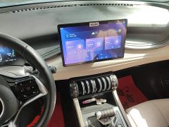 BYD Yuan Plus Glory Edition 430KM Transcend - ფოტო 13