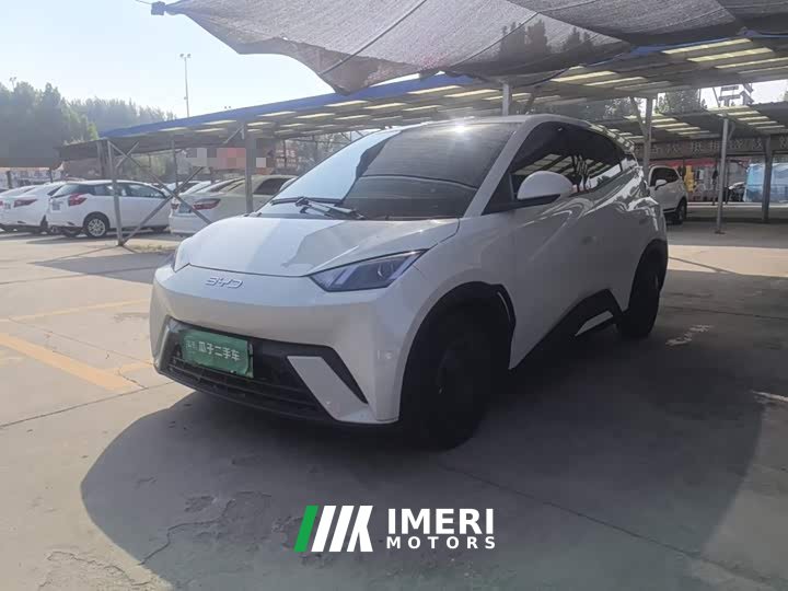 BYD Seagull 305km Vitality Edition - ავტომობილი ჩინეთიდან