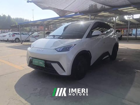 2025 BYD Seagull 305km Vitality Edition - ავტომობილი ჩინეთიდან