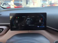 BYD Seagull 305km Vitality Edition - ფოტო 12