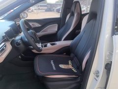 BYD Seagull 305km Vitality Edition - ფოტო 15