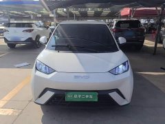 BYD Seagull 305km Vitality Edition - ფოტო 3