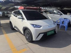 BYD Seagull 305km Vitality Edition - ფოტო 4