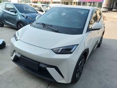 BYD Seagull 2025 305km Freedom Edition - ფოტო 1