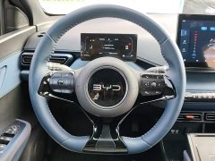 BYD Seagull 2025 305km Freedom Edition - ფოტო 7