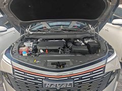 Haval Mythical Beast 2.0T Smart Edition - ფოტო 20