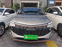 Haval Mythical Beast 2.0T Smart Edition - ფოტო 3