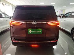 Buick GL8 ES Land Respect 653T Luxury - ფოტო 4