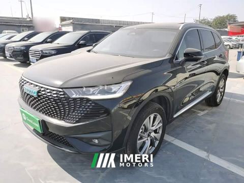 2023 Haval H6 New Energy DHT-PHEV 110KM Joy Edition