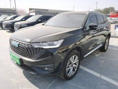 Haval H6 New Energy DHT-PHEV 110KM Joy Edition - ფოტო 2