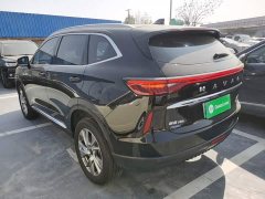 Haval H6 New Energy DHT-PHEV 110KM Joy Edition - ფოტო 5