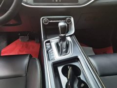 Geely Binrui 1.4T CVT Asian Games Edition - ფოტო 14