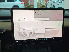 Tesla Model Y Rear-Wheel Drive - ფოტო 13