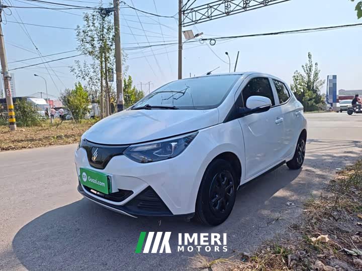 Yizhi EV2 Auspicious Edition 201km Comfort