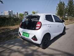Yizhi EV2 Auspicious Edition 201km Comfort - photo 7