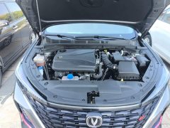 Changan Eado 2022 PLUS Blue Whale NE 1.4T GDI DCT Luxury Edition - ფოტო 20