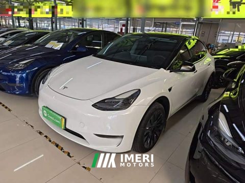 2021 Tesla Model Y Standard Range RWD - ავტომობილი ჩინეთიდან