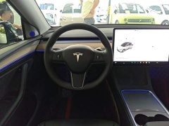 Tesla Model Y Standard Range RWD - ფოტო 11