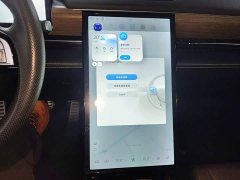 XPeng P5 2021 460G - ფოტო 13