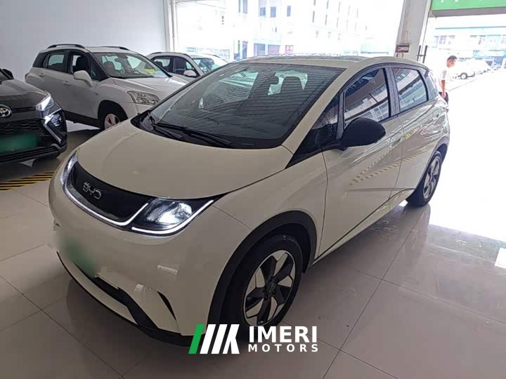 BYD Dolphin 420km Freedom Edition - ავტომობილი ჩინეთიდან