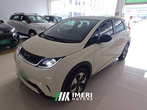 2025 BYD Dolphin 420km Freedom Edition - ავტომობილი ჩინეთიდან
