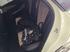 BYD Dolphin 420km Freedom Edition - ფოტო 13