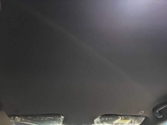 BYD Dolphin 420km Freedom Edition - ფოტო 14