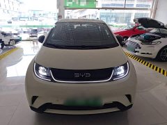 BYD Dolphin 420km Freedom Edition - ფოტო 3