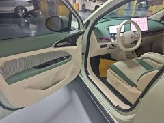 ORA Good Cat 2025 430km Luxury - ფოტო 13