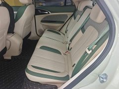 ORA Good Cat 2025 430km Luxury - ფოტო 14