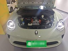 ORA Good Cat 2025 430km Luxury - ფოტო 17