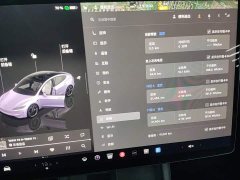 Tesla Model 3 High Performance All-Wheel Drive - ფოტო 12