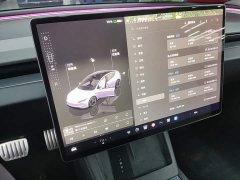 Tesla Model 3 High Performance All-Wheel Drive - ფოტო 13