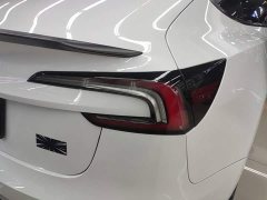 Tesla Model 3 High Performance All-Wheel Drive - ფოტო 8
