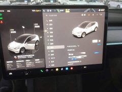 Tesla Model Y Rear-Wheel Drive - ფოტო 12