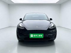 Tesla Model Y Rear-Wheel Drive - ფოტო 3