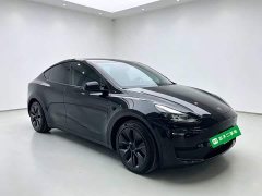 Tesla Model Y Rear-Wheel Drive - ფოტო 4