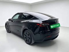 Tesla Model Y Rear-Wheel Drive - ფოტო 5
