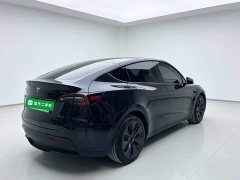 Tesla Model Y Rear-Wheel Drive - ფოტო 7