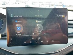 BYD Yuan Plus DM-i 2021 2.0T AWD Performance Luxury Edition - ფოტო 9