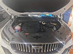 Geely Xingyue L 2.0TD High-Power Automatic FWD Horizon Edition - ფოტო 16