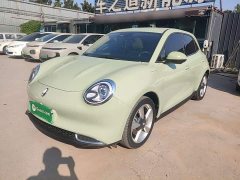 ORA Good Cat 401km Standard Range Deluxe LFP - ფოტო 1