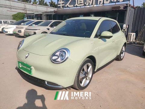 2023 ORA Good Cat 401km Standard Range Deluxe LFP - ავტომობილი ჩინეთიდან