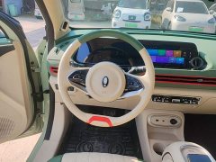 ORA Good Cat 401km Standard Range Deluxe LFP - ფოტო 11