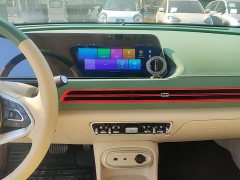 ORA Good Cat 401km Standard Range Deluxe LFP - ფოტო 13